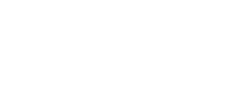 NOLE-01_1200x1200 logo