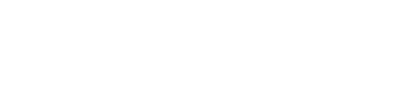 Natural life logo copy